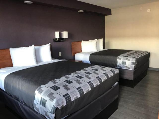 Executive Inn Kingsville Exteriér fotografie